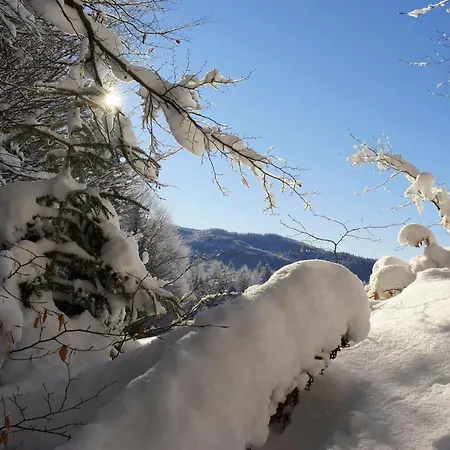 Chmiel * スロモフツェ・ビジネ