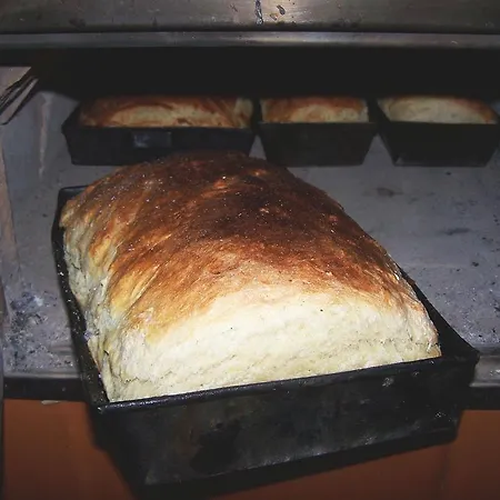 ファームステイ Chmiel スロモフツェ・ビジネ