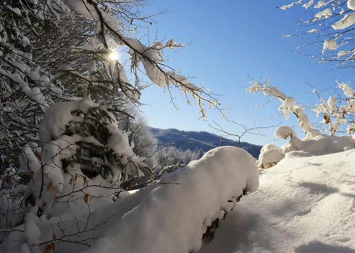 Chmiel * Sromowce Wyżne
